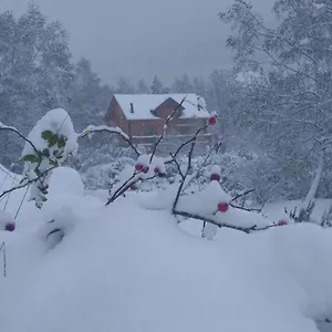 Bois Au Milieu Des Pyrénées LʼHospitalet-près-lʼAndorre